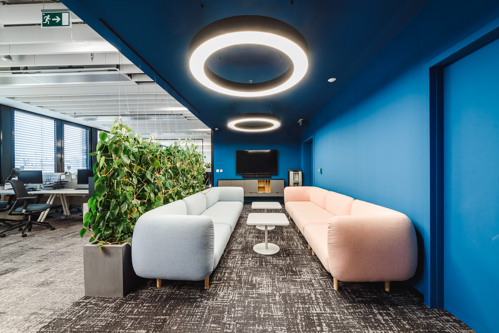 sedacia suprava a konferecne stoliky v modernom modrom interiery v kancelarskych priestoroch roche 
